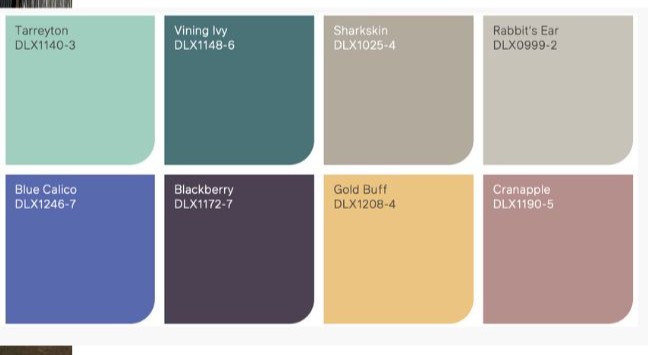 Dulux colour palette options explored for the Cumbia Bar Kitchen rebrand
